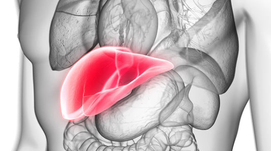 10 Warning Signs Your Liver Is Struggling & What You Can Do About It