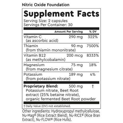 Nitric Oxide Foundation